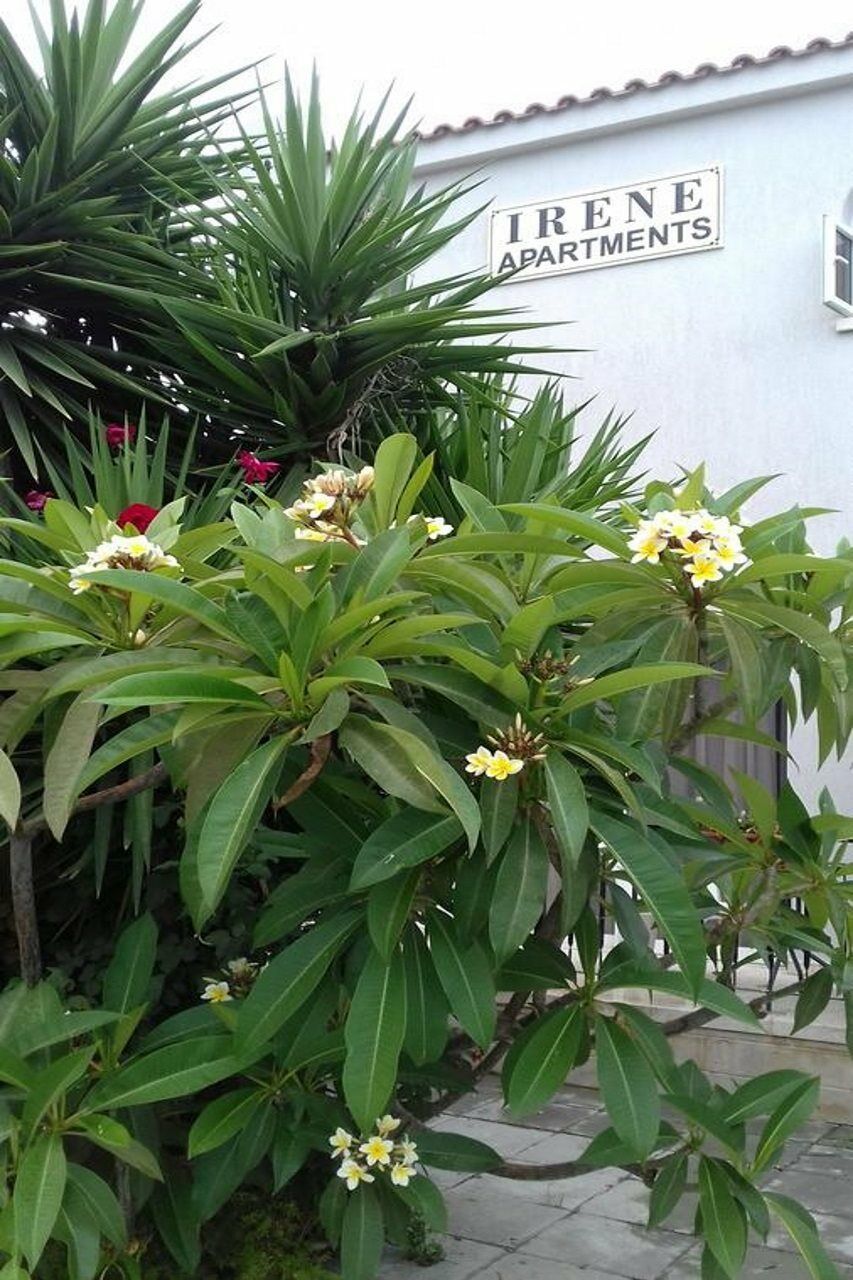 Irenes Tourist Apartments ليماسول المظهر الخارجي الصورة